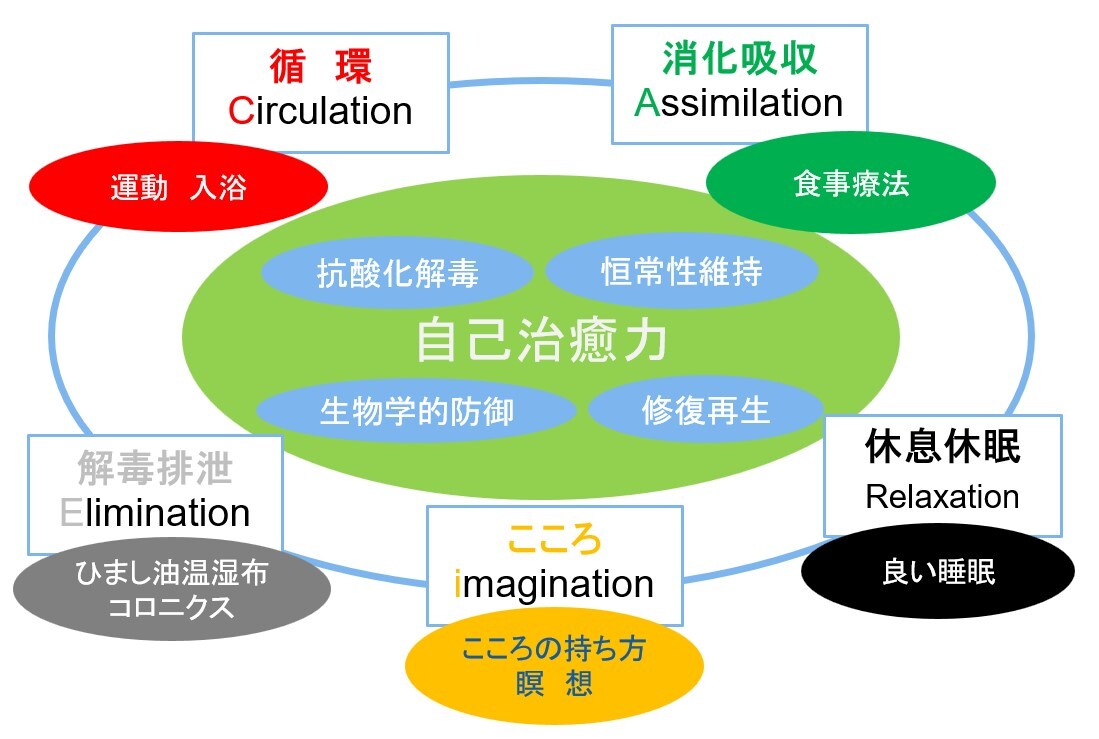 認知症iiCARE療法図